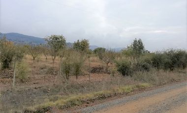 Parcela en venta  en PENCAHUE