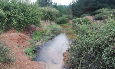 Parcela en venta  en PENCAHUE
