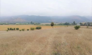 Parcela en venta  en PENCAHUE