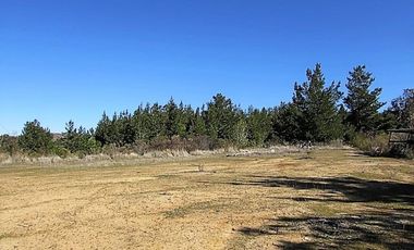 Parcela en venta en CAUQUENES