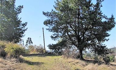 Parcela en venta en CAUQUENES