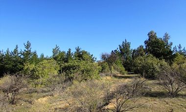 Parcela en venta en CAUQUENES