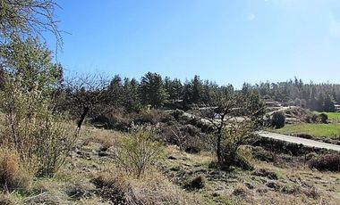 Parcela en venta en CAUQUENES