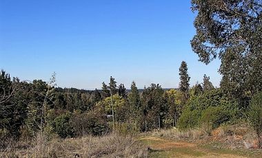 Parcela en venta en CAUQUENES