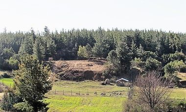 Parcela en venta en CAUQUENES