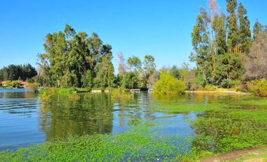 Parcela en venta en LAS CABRAS