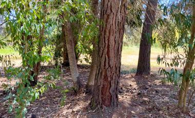 Parcela en venta en LAS CABRAS