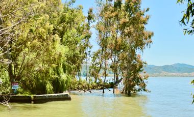 Parcela en venta en LAS CABRAS