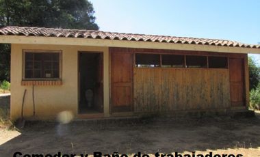 Parcela en venta en CAUQUENES