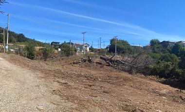 Parcela en venta  en PELLUHUE