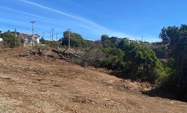 Parcela en venta  en PELLUHUE