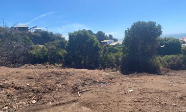 Parcela en venta  en PELLUHUE