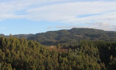 Parcela en venta  en PELLUHUE