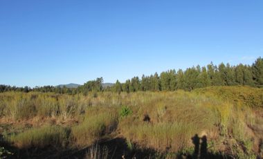 Parcela en venta  en PELLUHUE