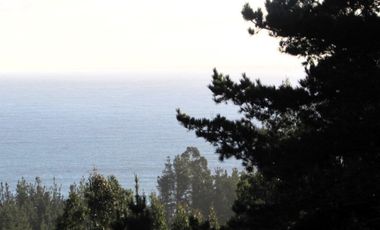 Parcela en venta  en PELLUHUE