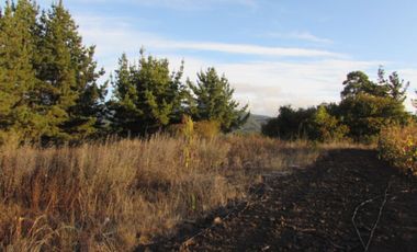 Parcela en venta  en PELLUHUE