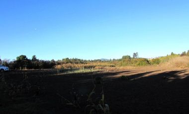 Parcela en venta  en PELLUHUE