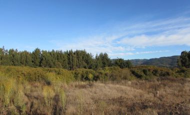 Parcela en venta  en PELLUHUE