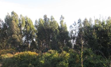 Parcela en venta  en PELLUHUE