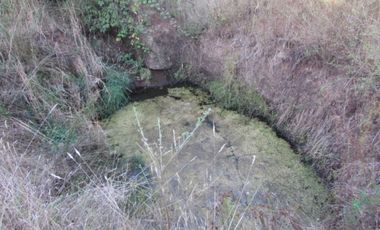 Parcela en venta  en PELLUHUE