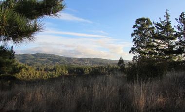 Parcela en venta  en PELLUHUE