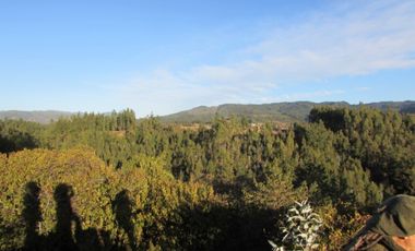 Parcela en venta  en PELLUHUE