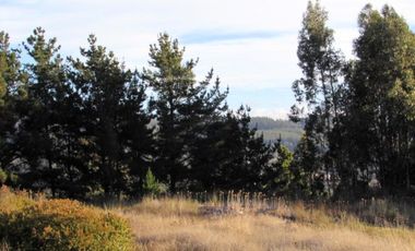 Parcela en venta  en PELLUHUE