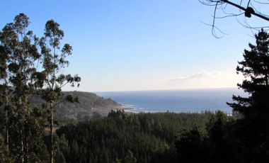 Parcela en venta  en PELLUHUE