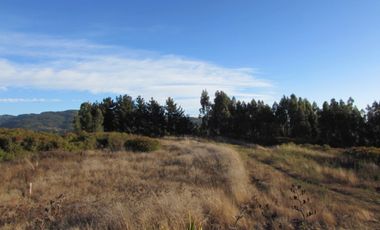 Parcela en venta  en PELLUHUE