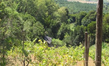 Parcela en venta en CAUQUENES