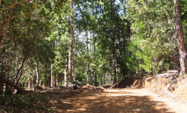 Parcela en venta en CAUQUENES