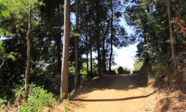 Parcela en venta en CAUQUENES