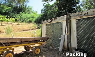 Parcela en venta en CAUQUENES