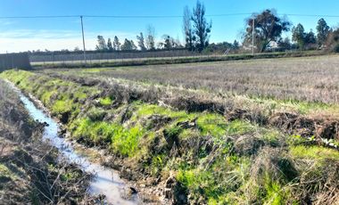 Parcela en venta en LINARES