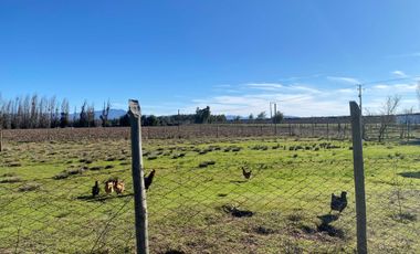 Parcela en venta en LINARES