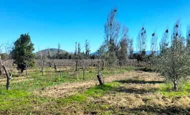 Parcela en venta en LINARES