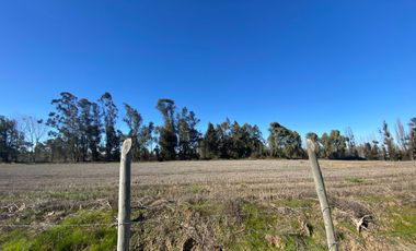 Parcela en venta en LINARES