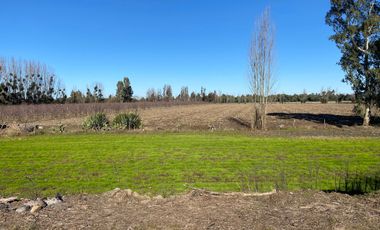 Parcela en venta en LINARES