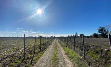 Parcela en venta en LINARES