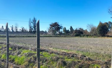 Parcela en venta en LINARES