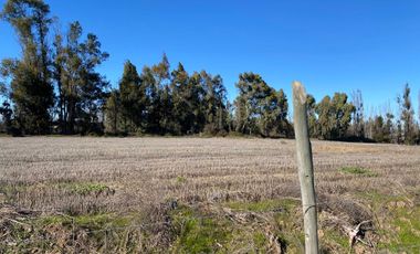 Parcela en venta en LINARES