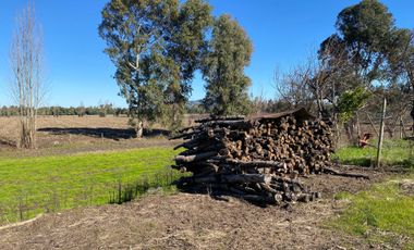 Parcela en venta en LINARES