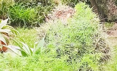 Casa en Arriendo en Parque ohiggins