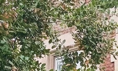 Casa en Arriendo en Parque ohiggins