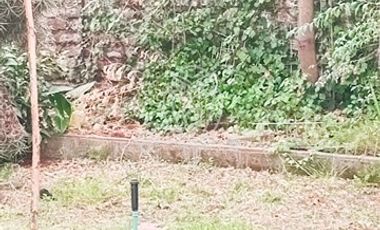 Casa en Arriendo en Parque ohiggins