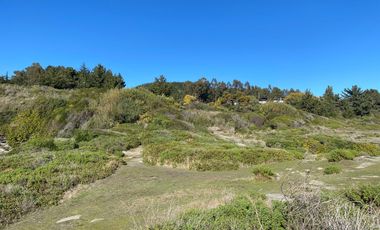 Parcela en venta  en PELLUHUE