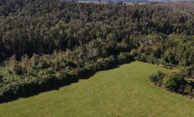 Parcela en venta  en LOS MUERMOS