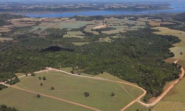 Parcela en venta  en LOS MUERMOS