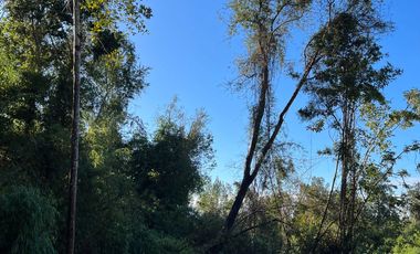 Parcela en venta  en LOS MUERMOS