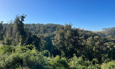 Parcela en venta  en LOS MUERMOS